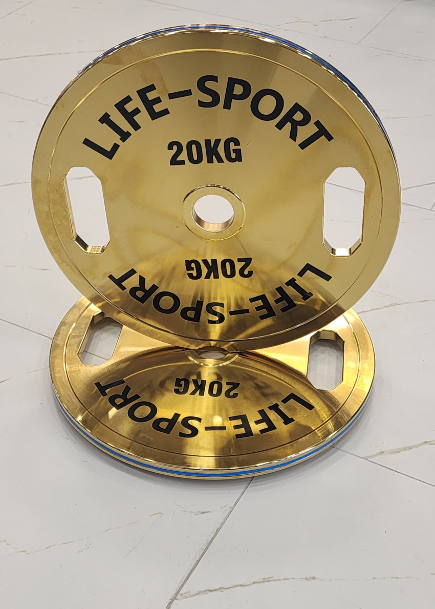 Life Sport Pro Bronze Coating Change Plate 20 kg